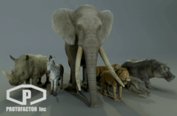 AFRICAN ANIMALS PACK Download Free