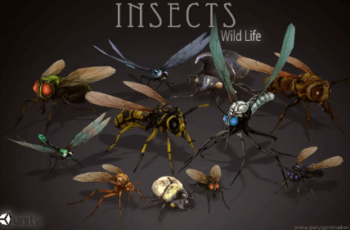 Wild Life Insects Download Free